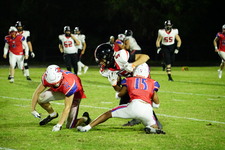 Enlarge photo 482