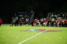 Enlarge photo 493