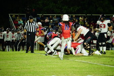 Enlarge photo 499