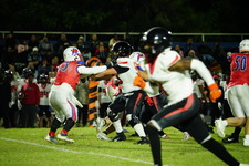Enlarge photo 504