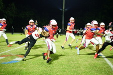 Enlarge photo 516