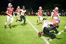 Enlarge photo 518