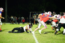 Enlarge photo 527