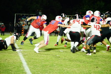 Enlarge photo 528