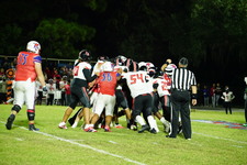 Enlarge photo 531