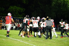 Enlarge photo 532