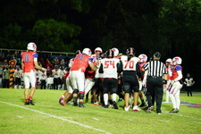 Enlarge photo 535