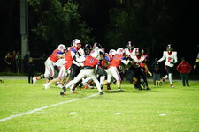 Enlarge photo 587