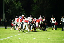 Enlarge photo 589