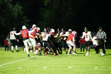 Enlarge photo 592