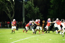 Enlarge photo 596