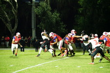 Enlarge photo 595