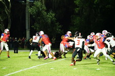 Enlarge photo 598