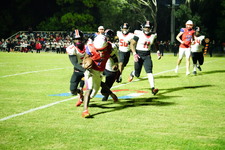 Enlarge photo 609