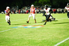 Enlarge photo 623
