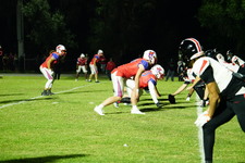 Enlarge photo 633