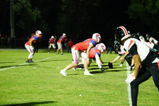 Enlarge photo 636