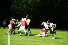 Enlarge photo 637