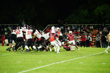 Enlarge photo 663