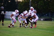 Enlarge photo 51