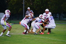 Enlarge photo 54