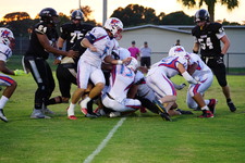 Enlarge photo 63
