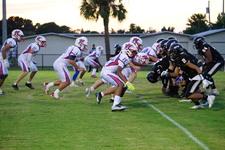 Enlarge photo 80