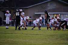 Enlarge photo 83