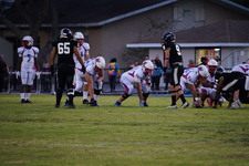 Enlarge photo 84