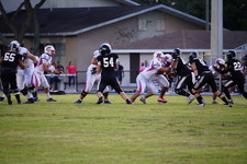 Enlarge photo 93
