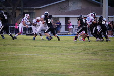 Enlarge photo 96
