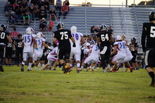 Enlarge photo 104