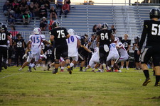 Enlarge photo 105