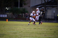 Enlarge photo 119