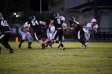 Enlarge photo 121