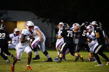 Enlarge photo 171