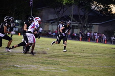 Enlarge photo 179