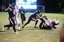 Enlarge photo 240