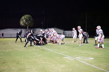 Enlarge photo 392