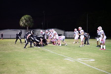 Enlarge photo 395