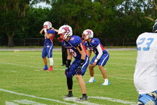 Enlarge photo 59