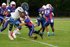 Enlarge photo 65