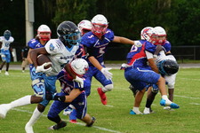 Enlarge photo 64