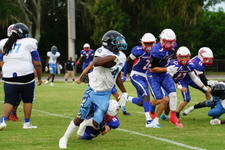 Enlarge photo 66