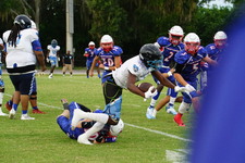 Enlarge photo 67