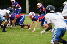 Enlarge photo 78