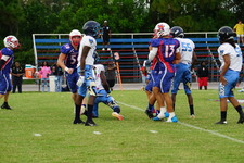 Enlarge photo 85