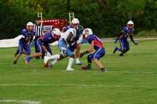 Enlarge photo 88