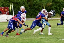 Enlarge photo 90
