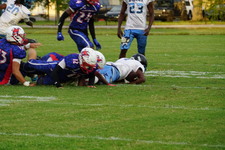 Enlarge photo 92